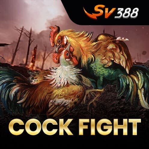 Sv388 Cock